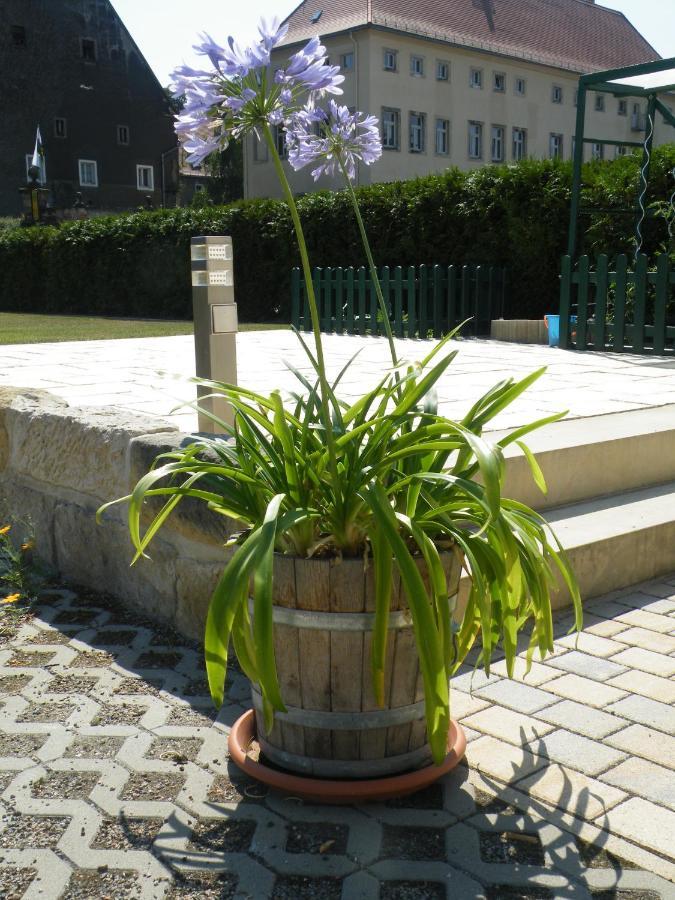 Apartamento Kaitzbach-Idylle Dresde Exterior foto